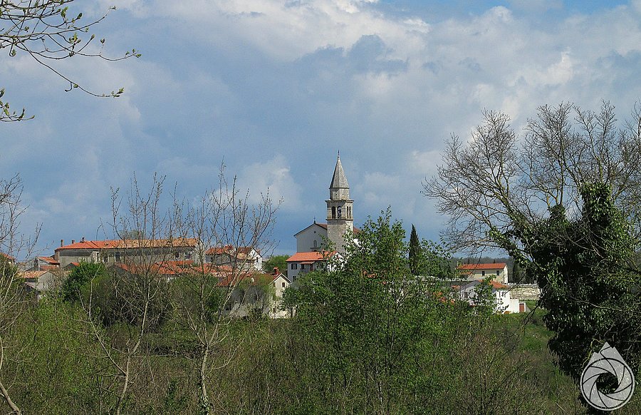 Kringa zza krzaków