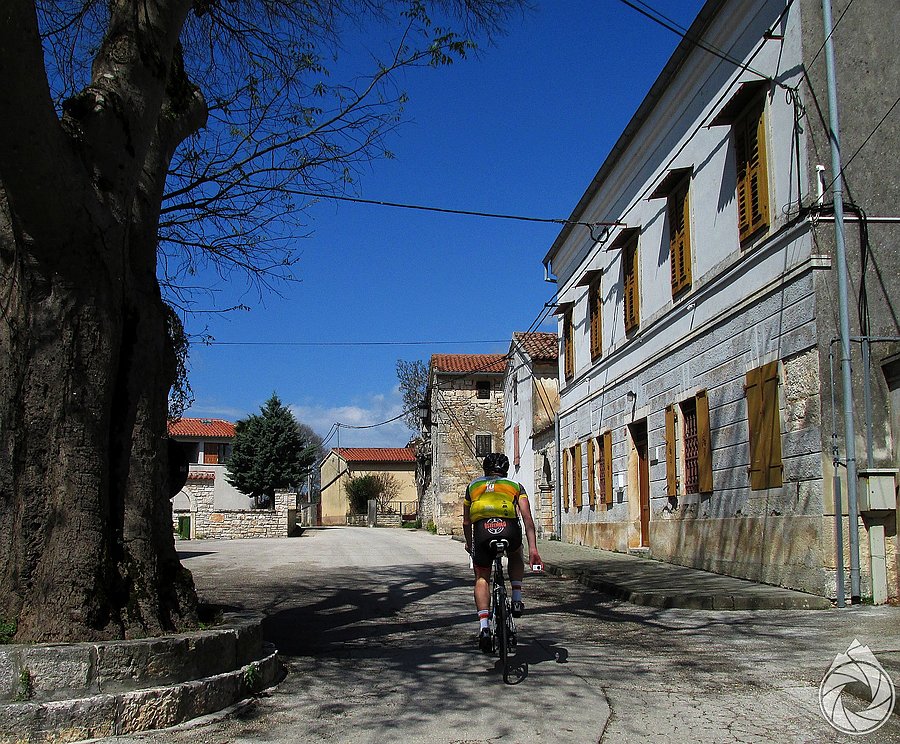 Kringa od środka