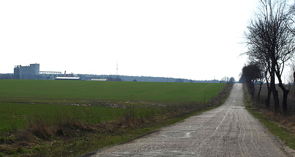 Zakłady zbożowe Miłomłyn w Kijowcu Kolonia