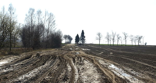 Kijowiecki trakt