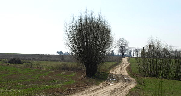 Na skróty z Kołczyna do Kijowca