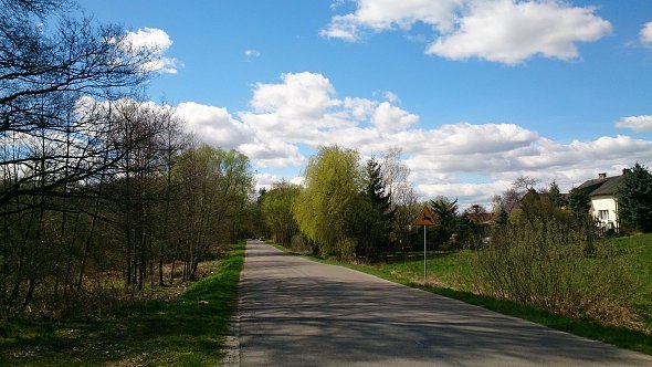 Zaczyna się zielenić