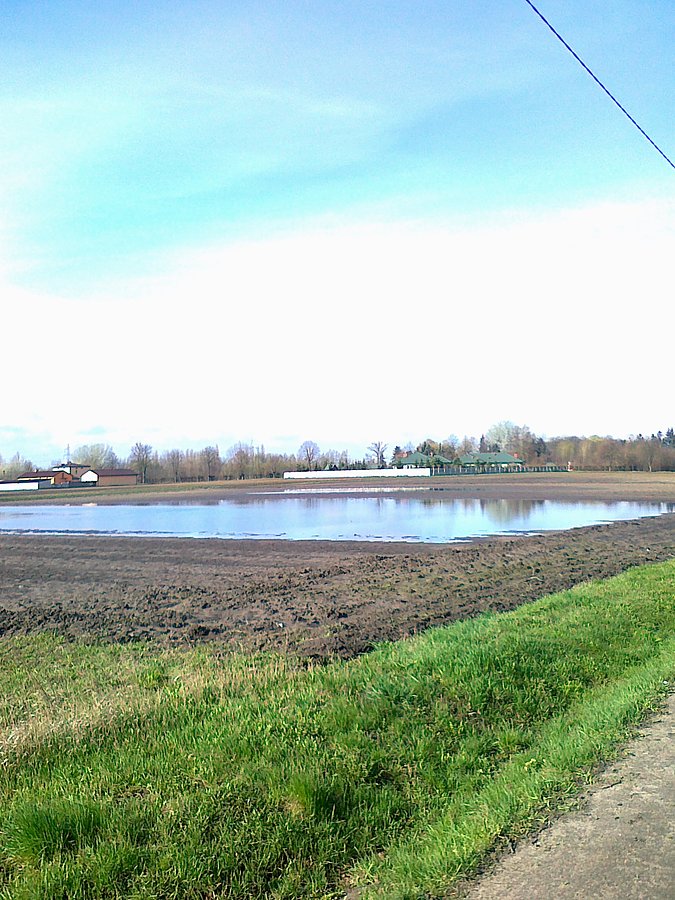 Staw na polu :)