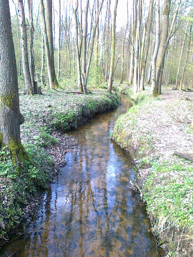 Wiosenny strumyk