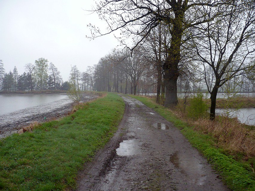 Woda wszędzie