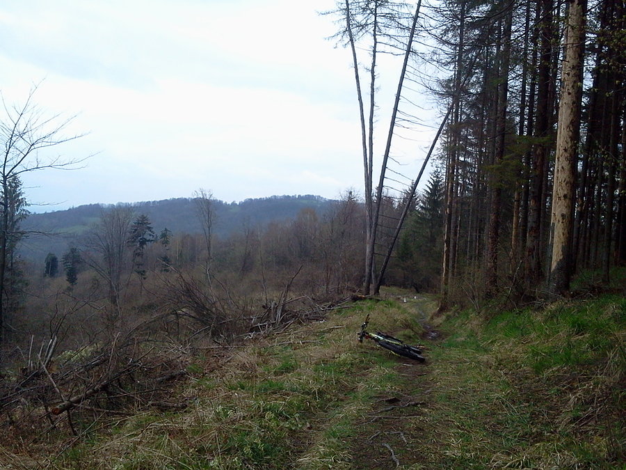 Szlak pod Ostrym