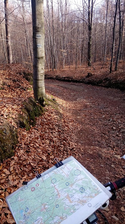 Prawie jak w górach