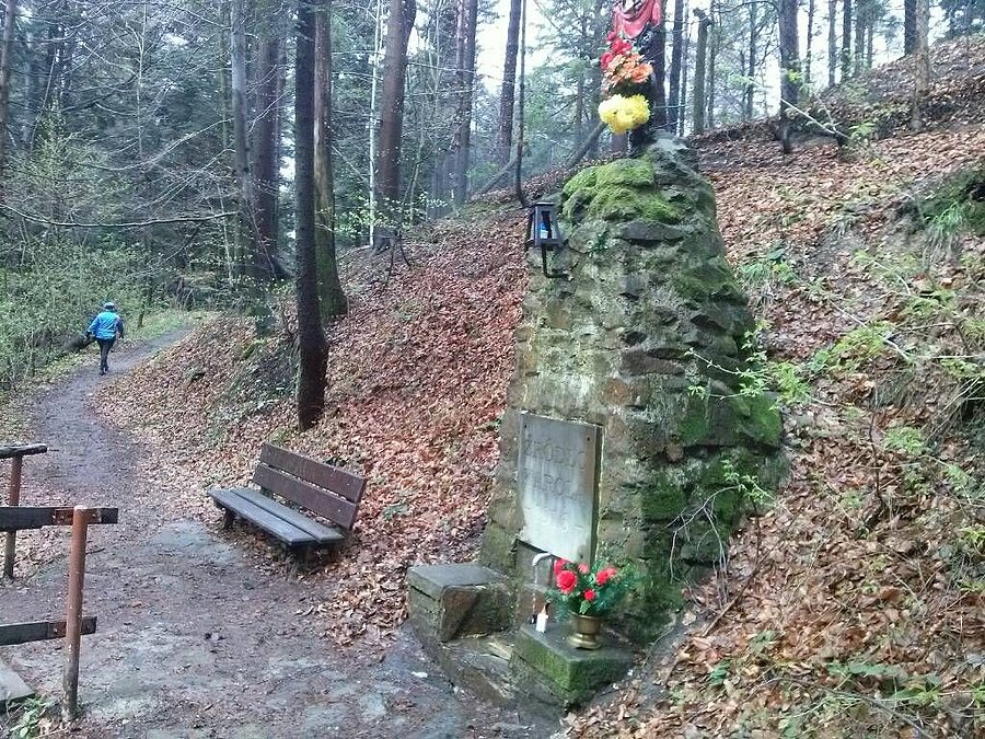 PK10 - Źródło Karola