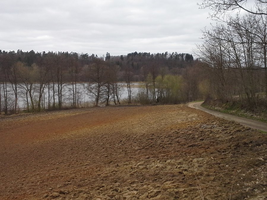 W okolicy Ręboszewa
