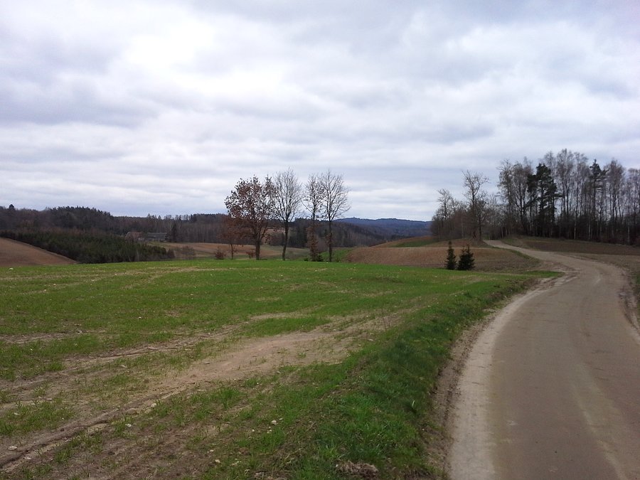 Na Kaszubach Środkowych