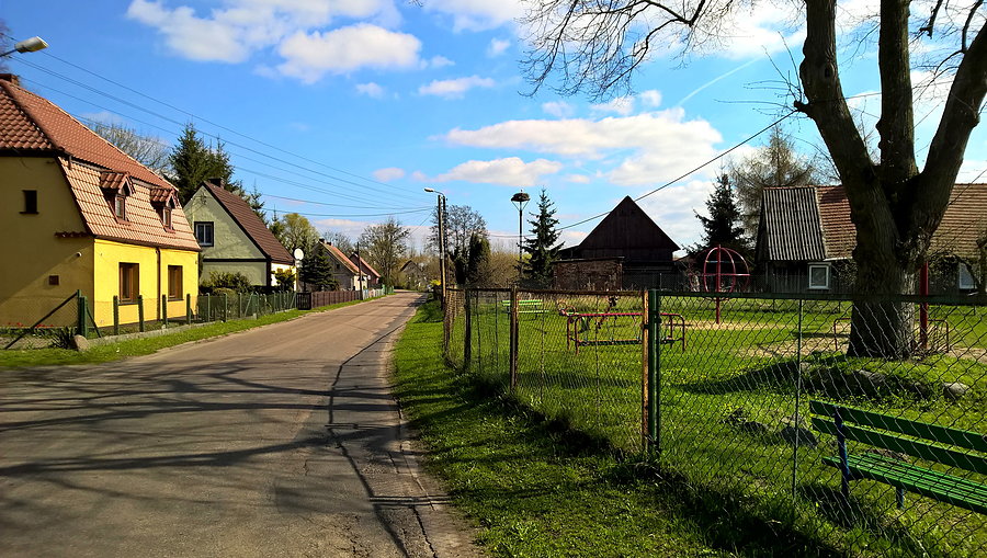 Bocianie gniazdo w centrum Tatyni
