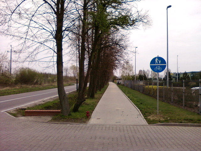 Początek CPR wzdłuż Szkolnej