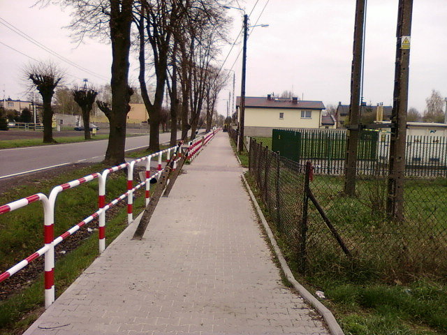 Pułapka dekapitacyjna