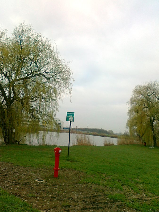 Staw w Zielnokach
