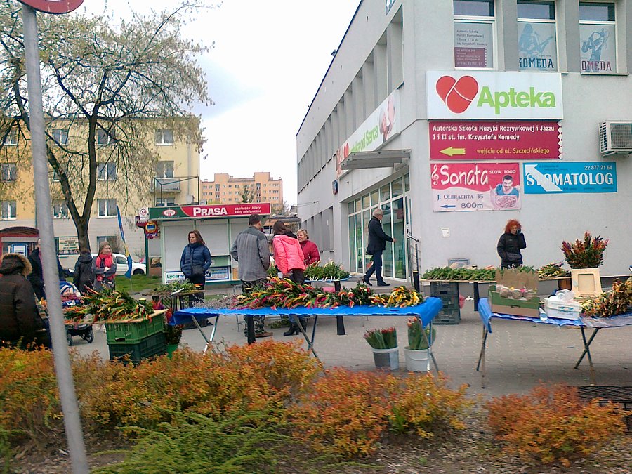 Dziś palmowa niedziela. Stragany z palmami i kwiatami przy rondzie na Olbrachta