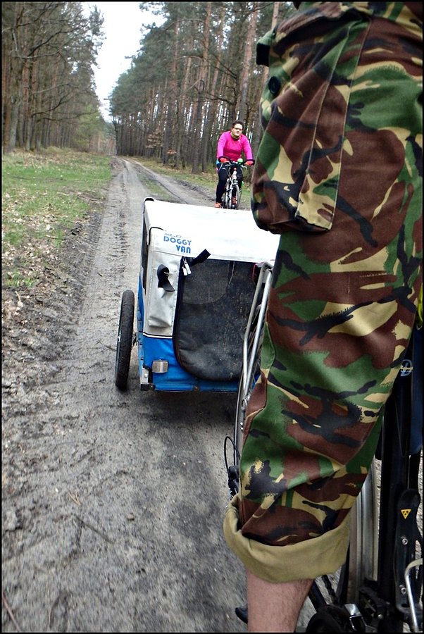 Leśnym duktem