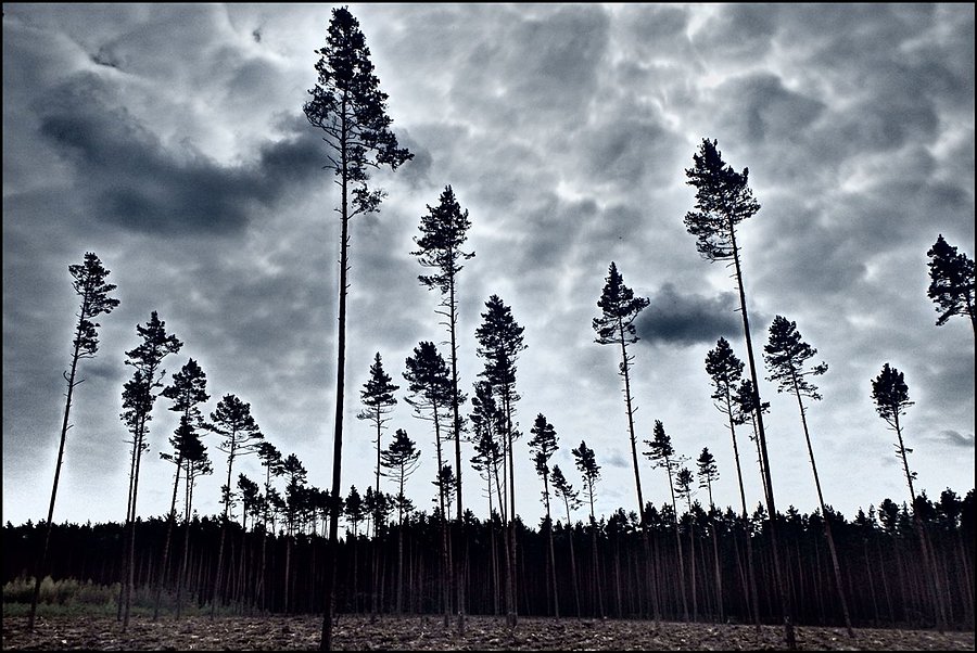 Przygnębiający widok