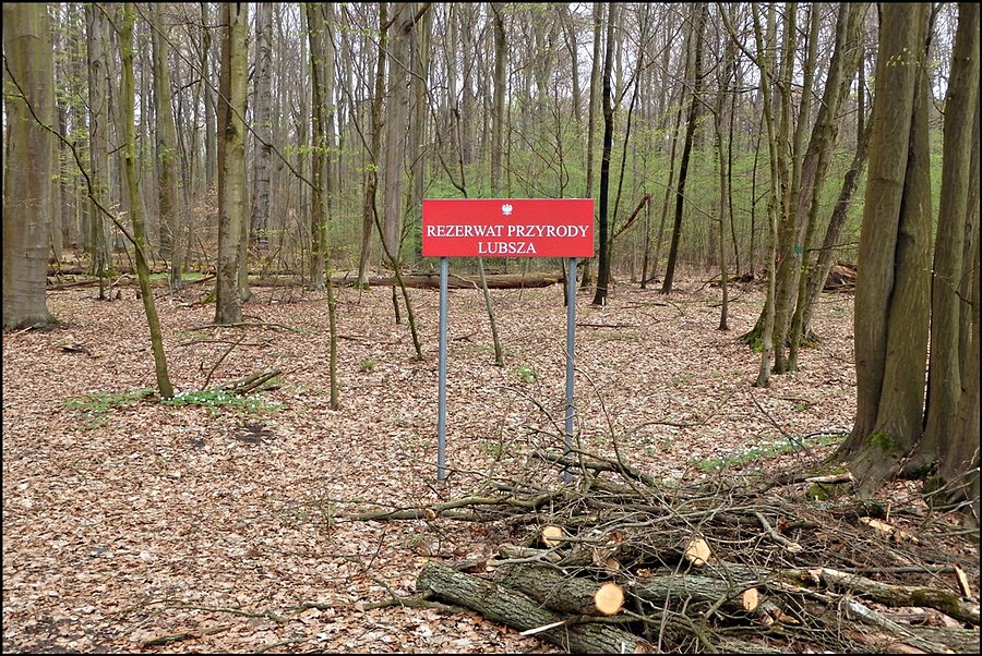 Kolejna do kolekcji