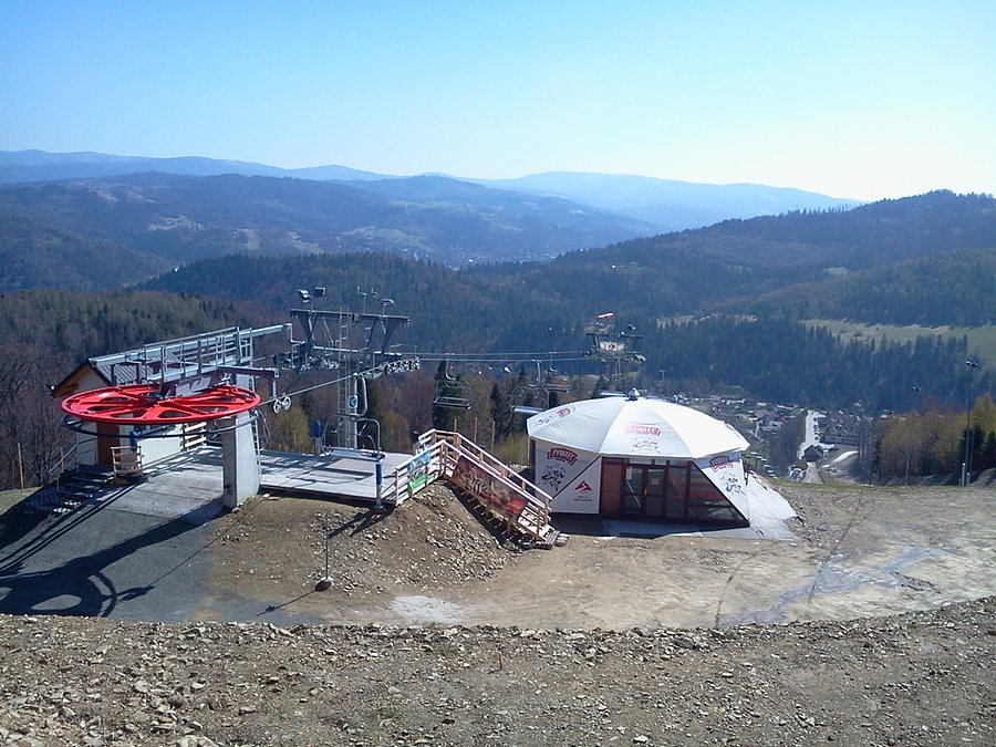 Jawornik