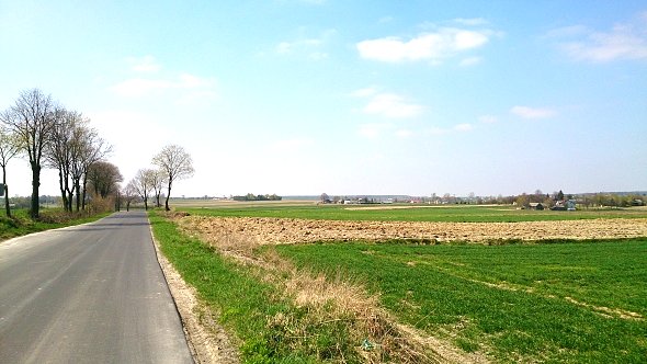 Lokalna droga w Kawęczynie