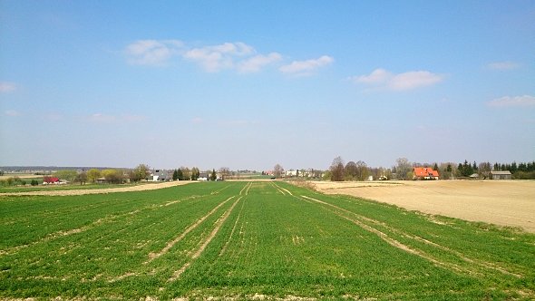 Pola w Kawęczynie