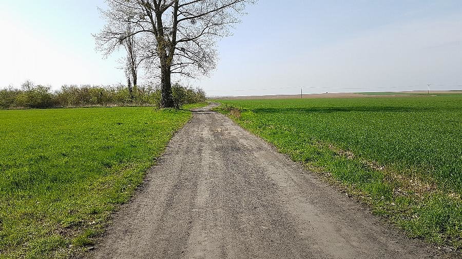 Żużlówka z Dębicy do Wierzbna