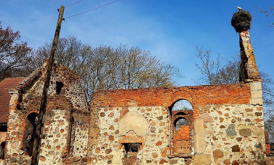 RYSZEWO (niem.Gross Rischow) Ruina kościoła z XV w z bocianem