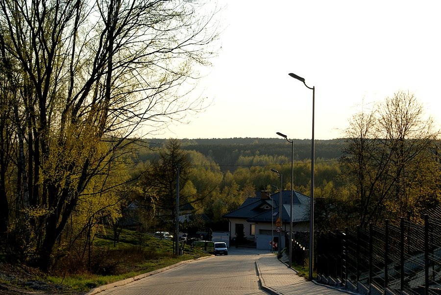Smardzewice - piękny widok na las z nowo wyremontowanej ul. Ogrodowej