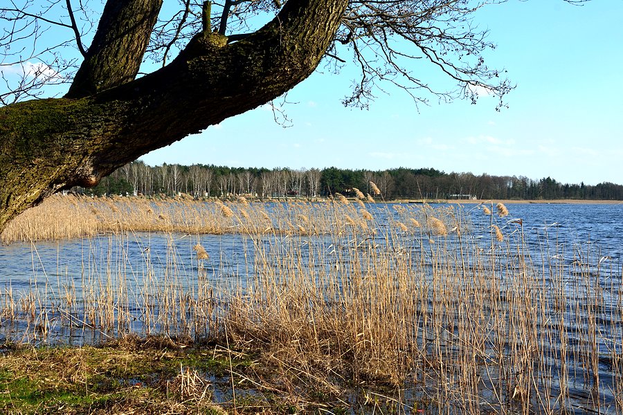 Jezioro Zagłębocze
