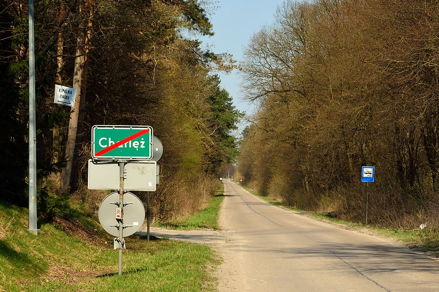 Charlęż wczesną wiosną