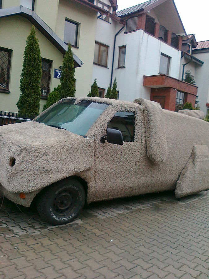 Zmokły pies