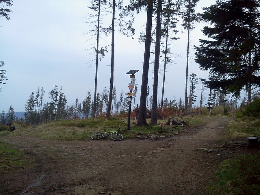 Grabowa 907 m