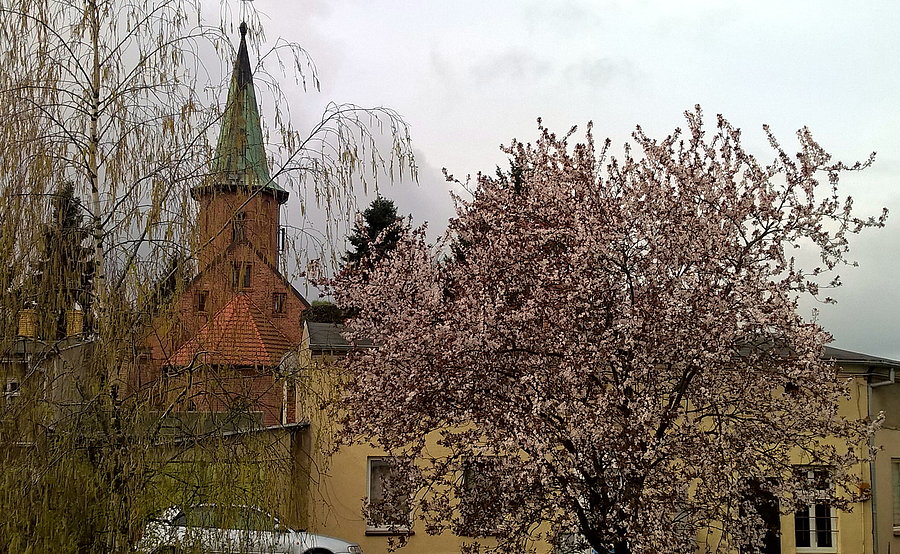 Wieża kościelna na Warszewie i opuszczone gniazdo bocianie