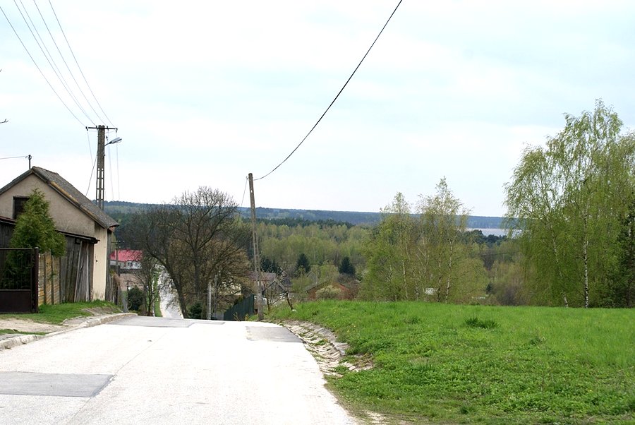 Daliśmy radę - widok na Sulejowski Park Krajobrazowy i fragment Jeziora Sulejowskiego