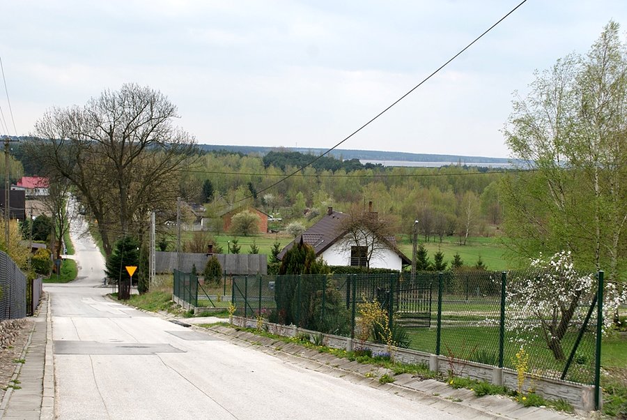 W oddali Jezioro Sulejowskie wraz z pięknymi lasami
