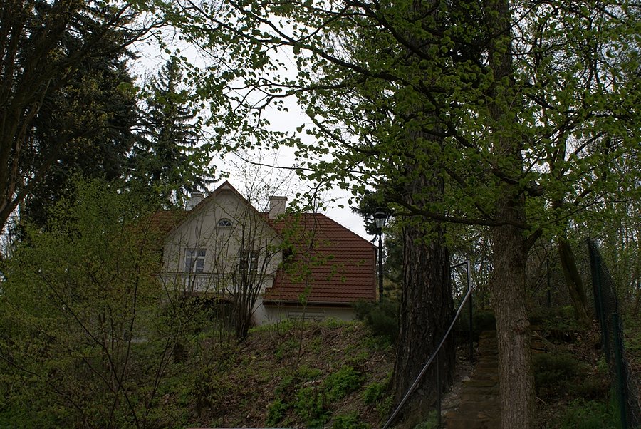Domek na wzgórzu - Smardzewice