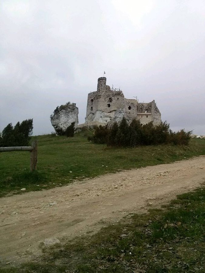 Zamek Mirów