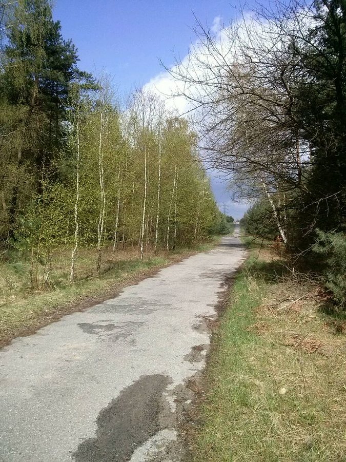 Słoneczko ale wieje niemożliwie