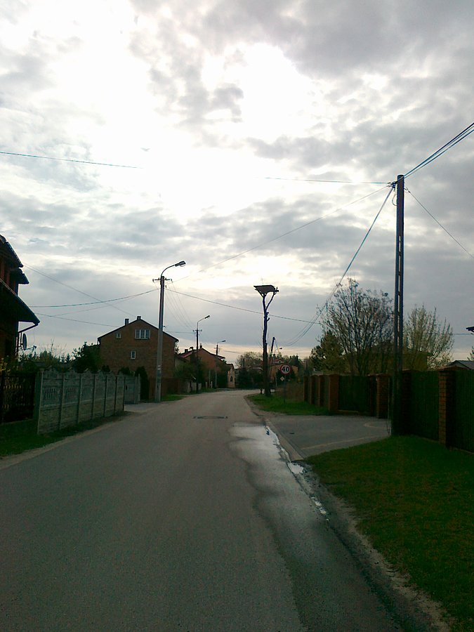 W tym gnieździe chyba nie ma w tym roku bocianów