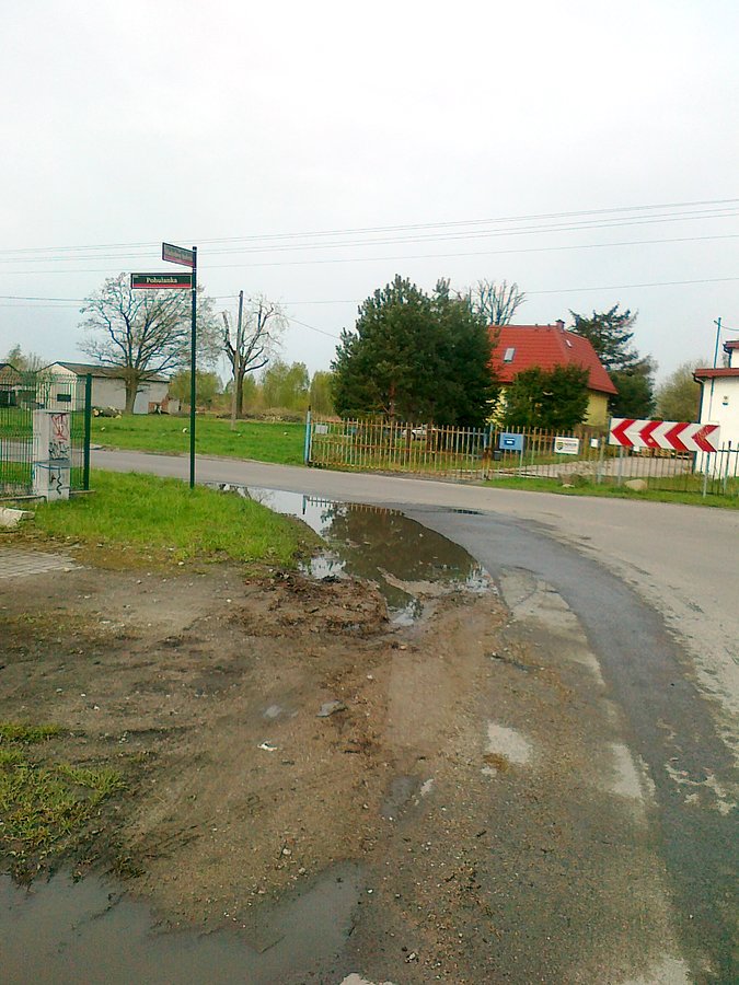 A tu wreszcie znalazłam odpowiednią do kąpieli kałużę :) To ta na zakręcie