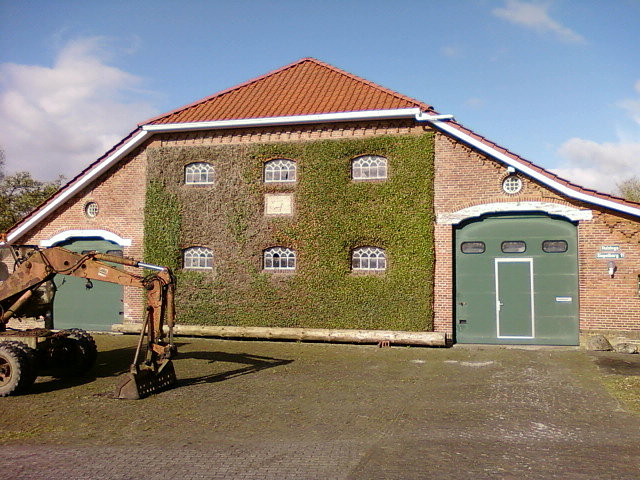 Bluszcz na stodole