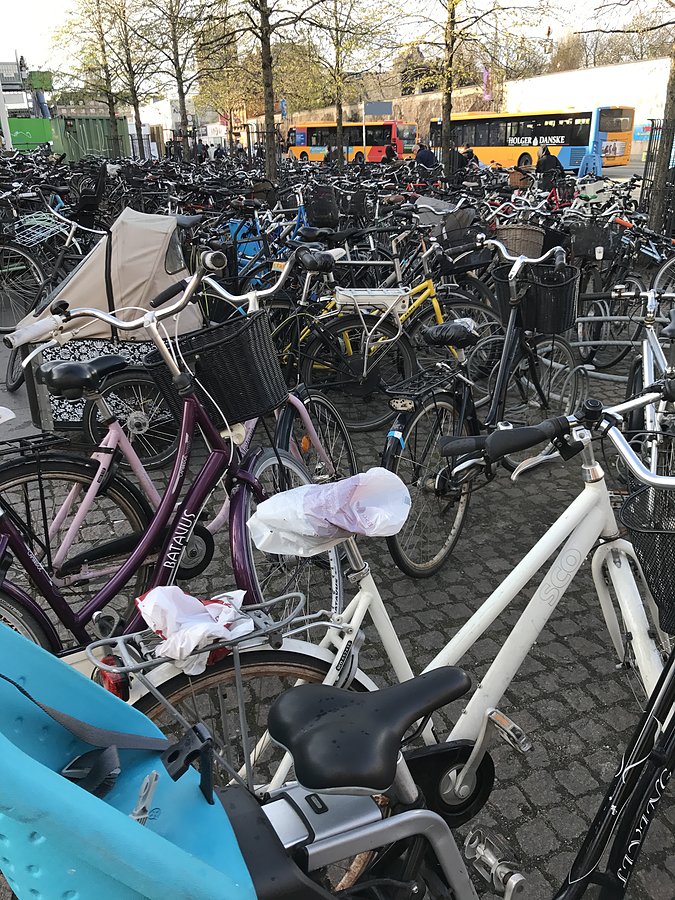 Szaleństwo rowerowe