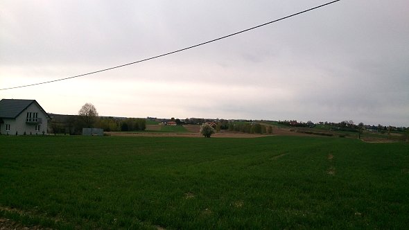 Pola w Jabłonnej