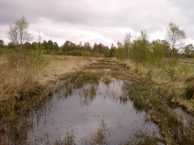 Zalana droga