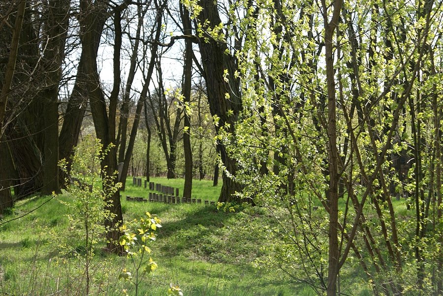 Być może gdzieś tam, leżą szczątki "Hubala"?