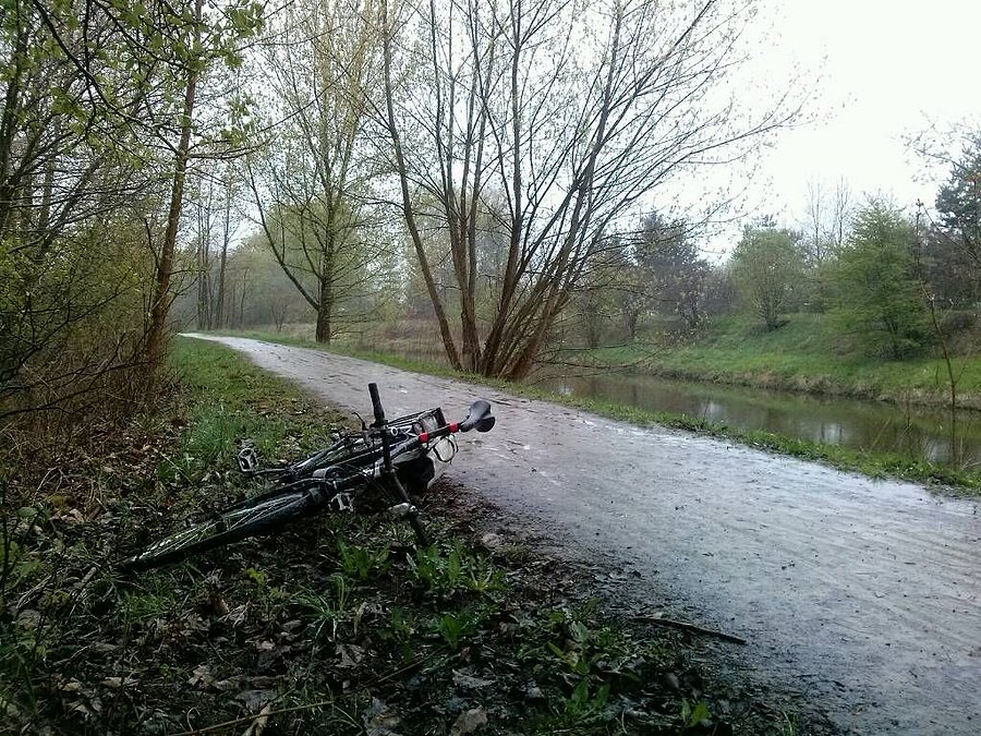 Bulwary Przemszy przy Zielonej