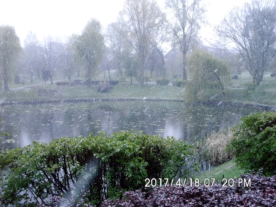 Wiosenna śnieżyca