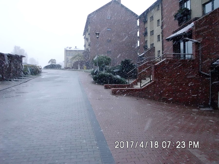 Sypie mokrym śniegiem