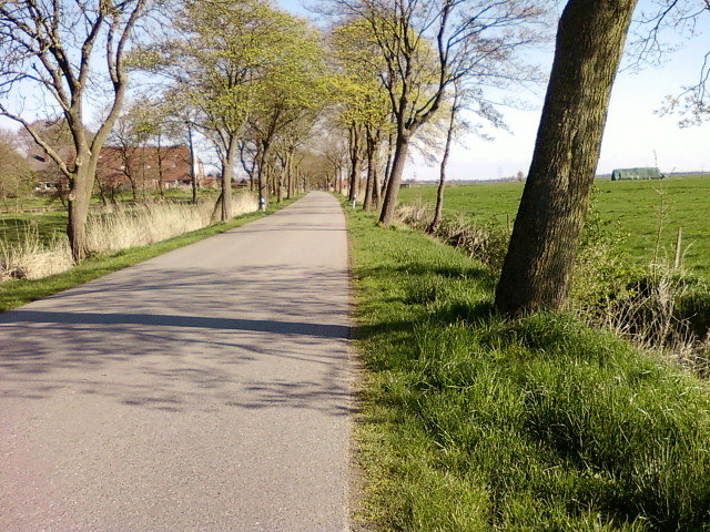 Droga lokalna