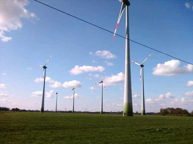 Ferma wiatrowa